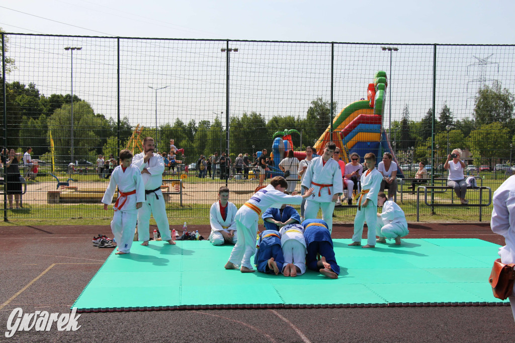 Radzionków. Piknik charytatywny na plantach w Rojcy