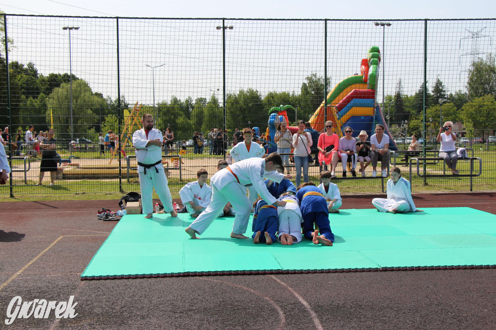 Radzionków. Piknik charytatywny na plantach w Rojcy
