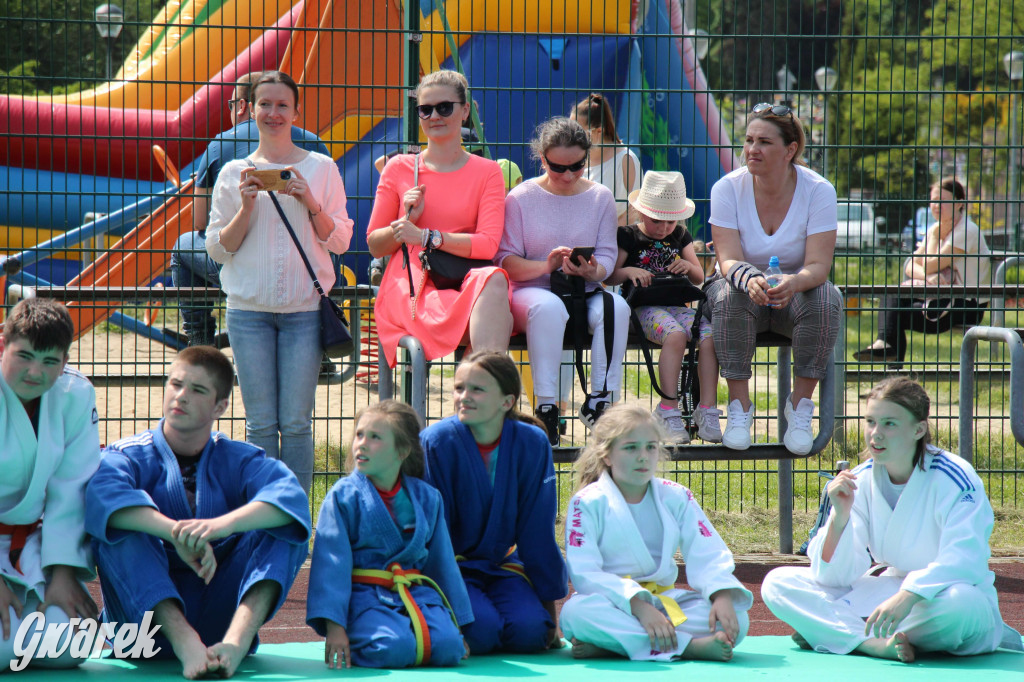 Radzionków. Piknik charytatywny na plantach w Rojcy