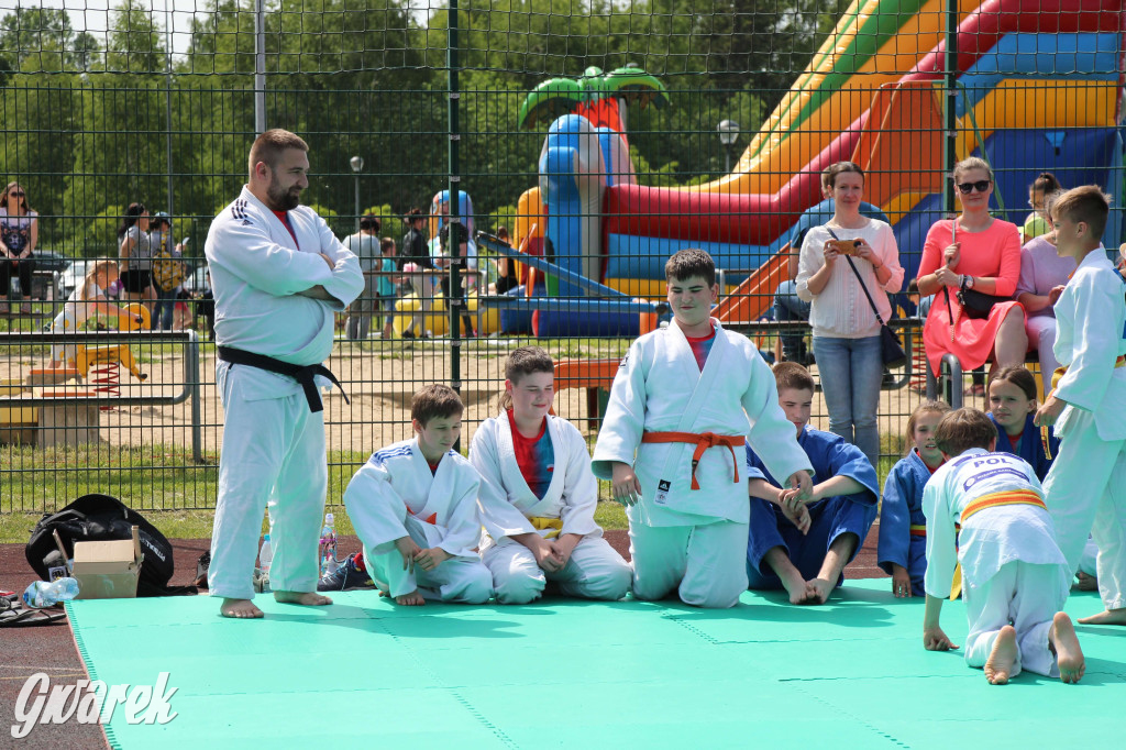 Radzionków. Piknik charytatywny na plantach w Rojcy