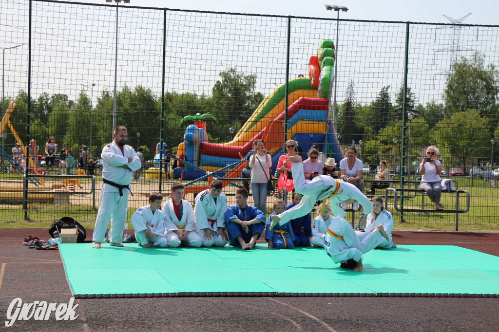 Radzionków. Piknik charytatywny na plantach w Rojcy