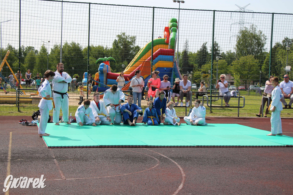 Radzionków. Piknik charytatywny na plantach w Rojcy