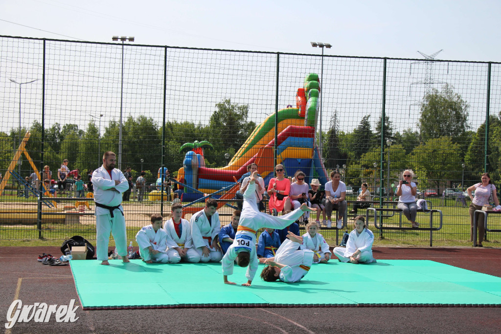 Radzionków. Piknik charytatywny na plantach w Rojcy