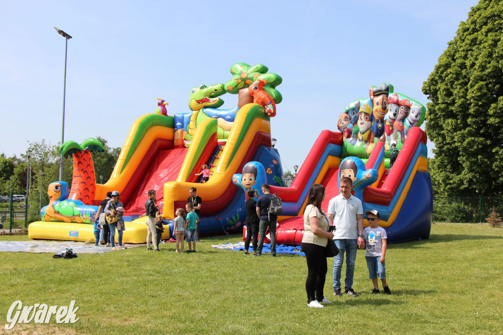 Radzionków. Piknik charytatywny na plantach w Rojcy