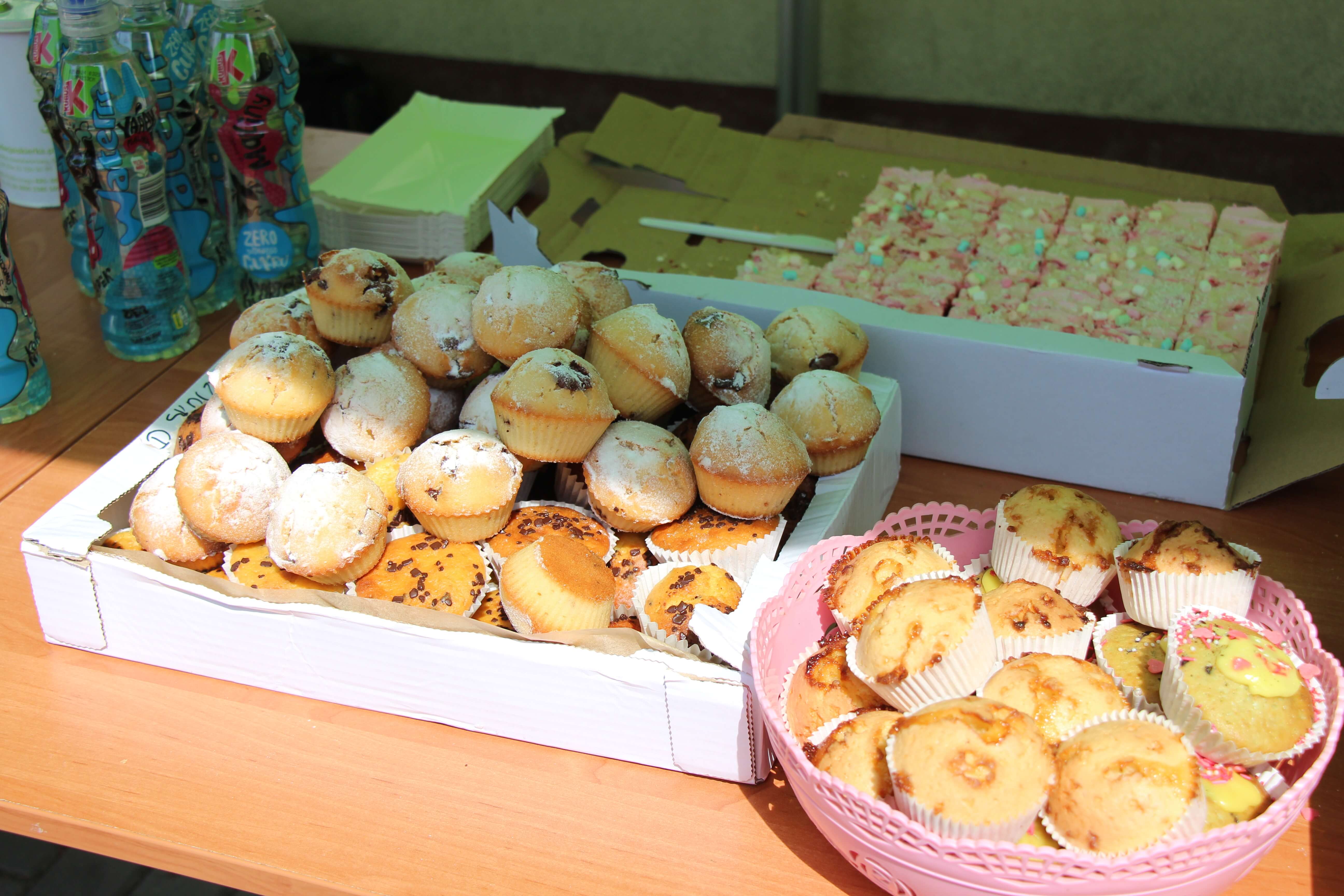 Radzionków. Piknik charytatywny na plantach w Rojcy