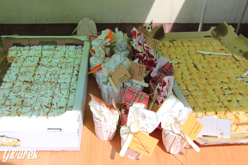 Radzionków. Piknik charytatywny na plantach w Rojcy