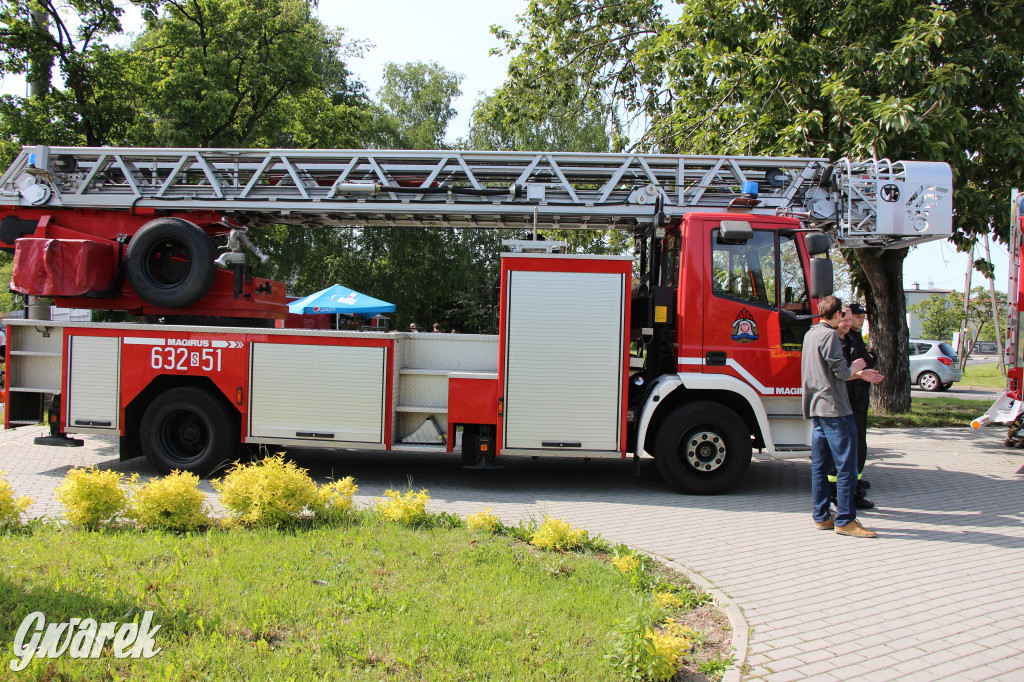 Radzionków. Piknik charytatywny na plantach w Rojcy