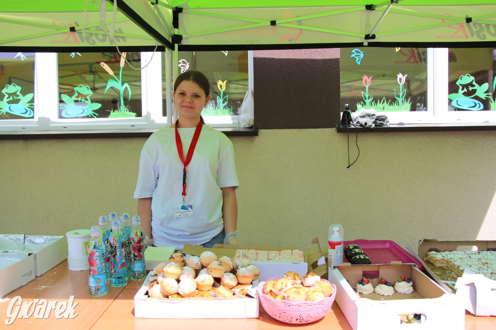 Radzionków. Piknik charytatywny na plantach w Rojcy