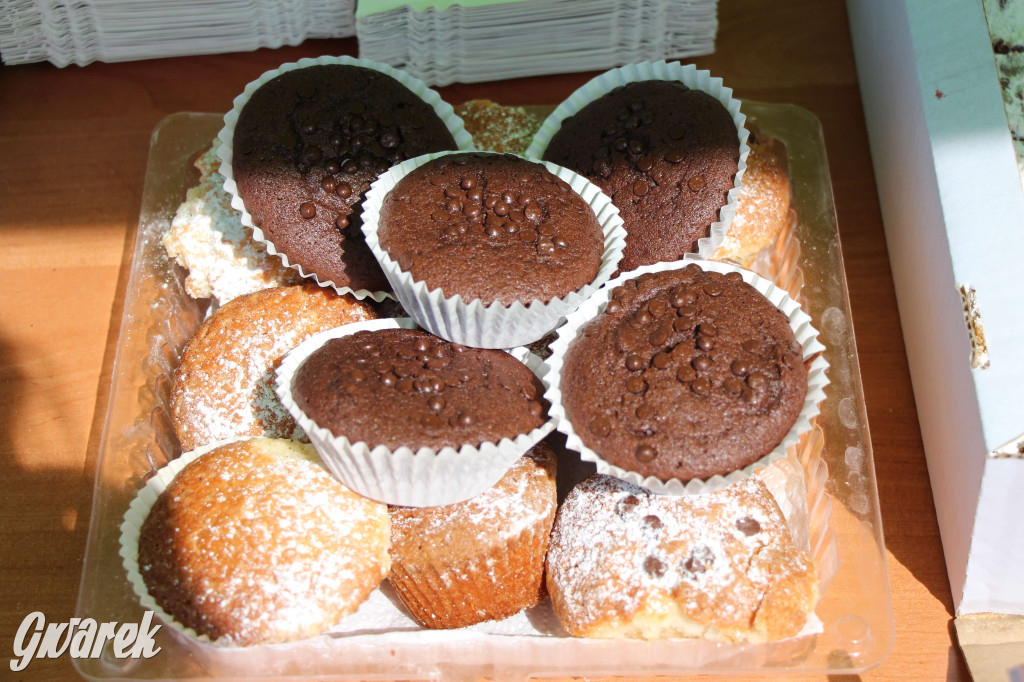 Radzionków. Piknik charytatywny na plantach w Rojcy