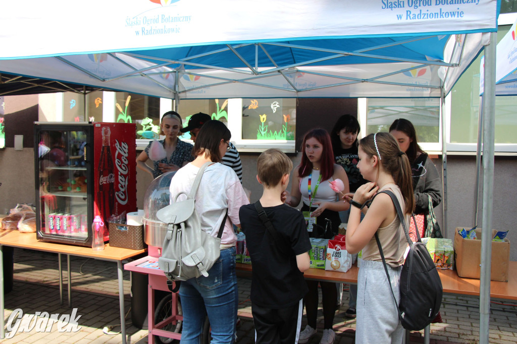Radzionków. Piknik charytatywny na plantach w Rojcy