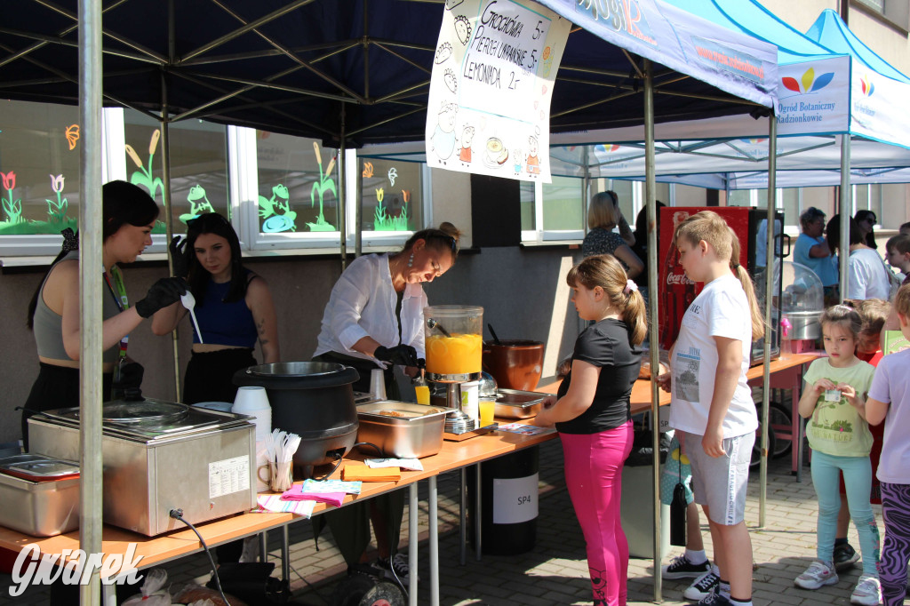 Radzionków. Piknik charytatywny na plantach w Rojcy
