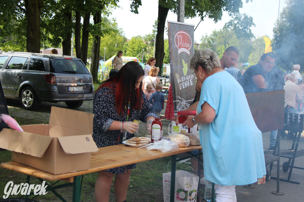 Radzionków. Piknik charytatywny na plantach w Rojcy