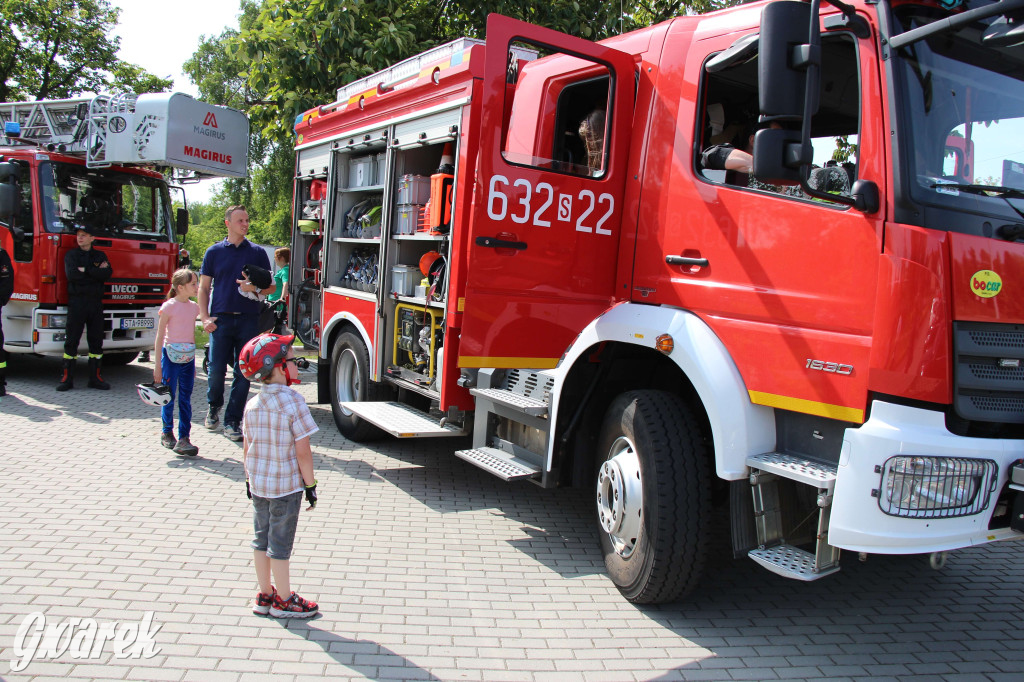 Radzionków. Piknik charytatywny na plantach w Rojcy