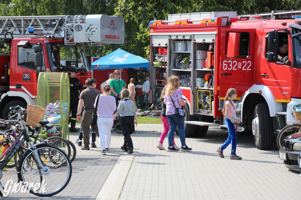 Radzionków. Piknik charytatywny na plantach w Rojcy