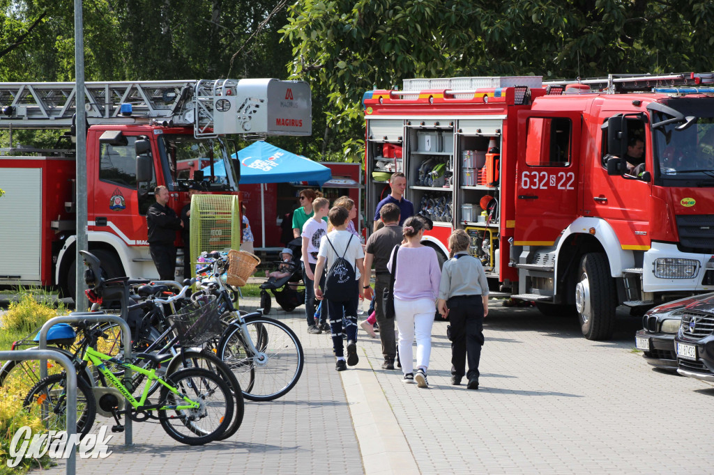 Radzionków. Piknik charytatywny na plantach w Rojcy