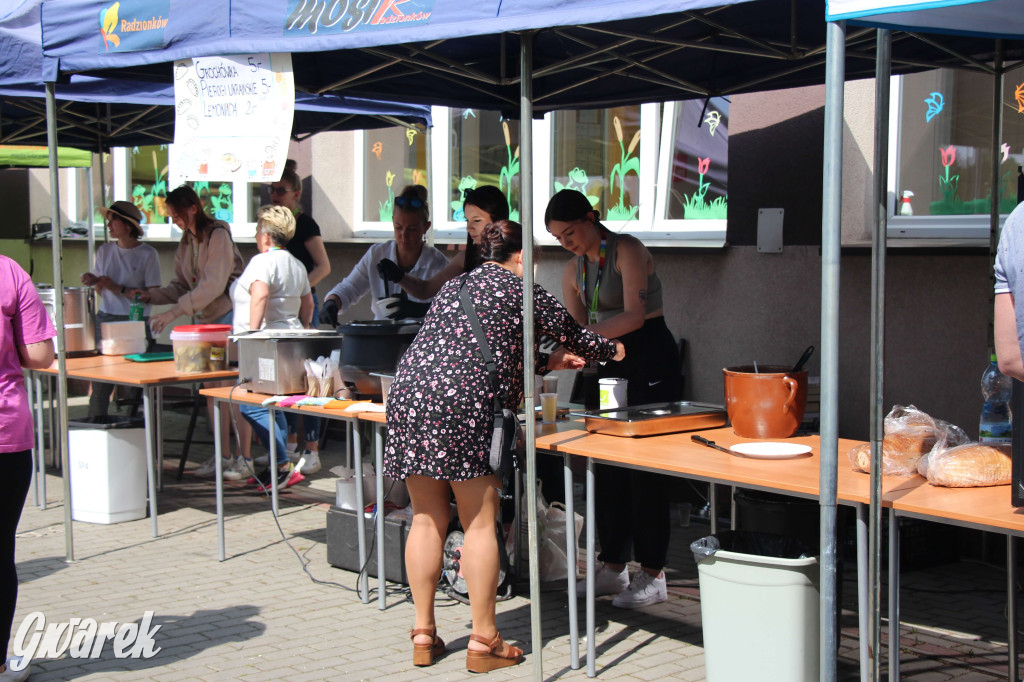 Radzionków. Piknik charytatywny na plantach w Rojcy