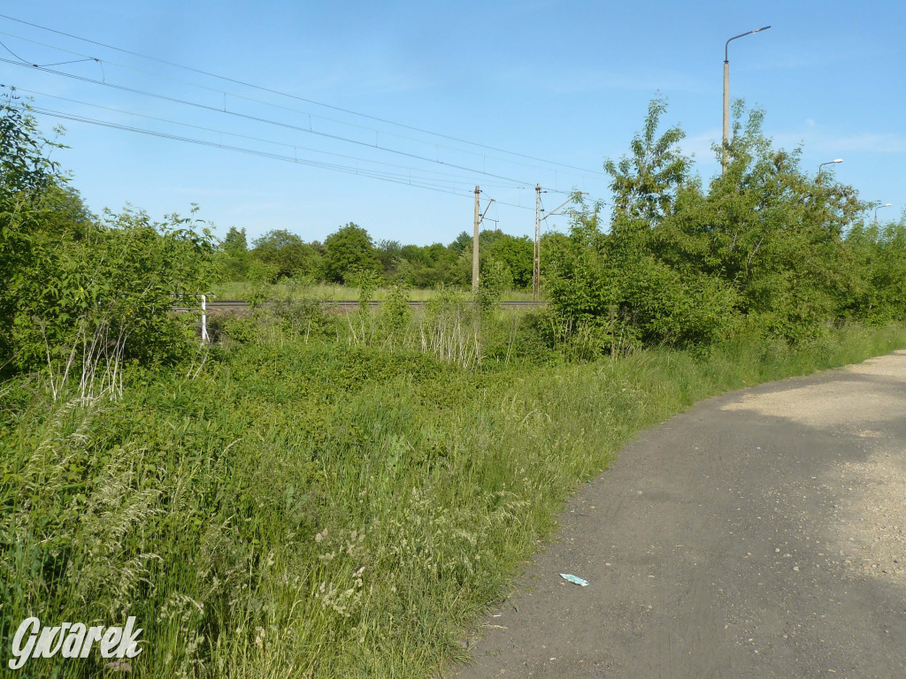 Przystanek kolejowy Osada Jana. Spacer badawczy