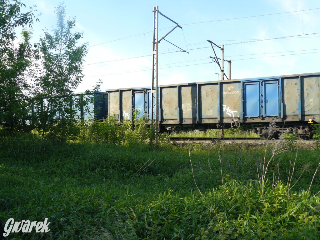 Przystanek kolejowy Osada Jana. Spacer badawczy