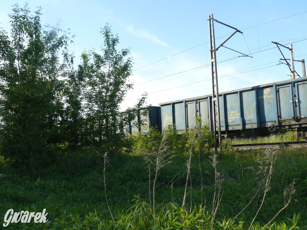 Przystanek kolejowy Osada Jana. Spacer badawczy