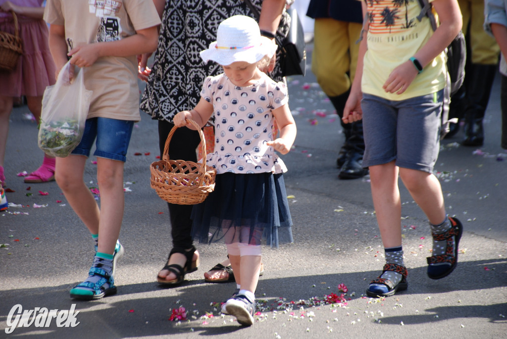 Tłumy w Radzionkowie na procesji Bożego Ciała [foto]