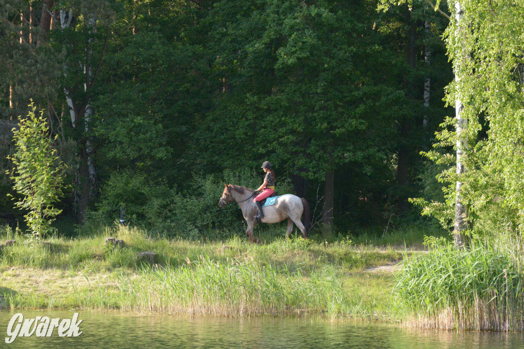 Nakło-Chechło. Dobre miejsce na wypoczynek nad wodą