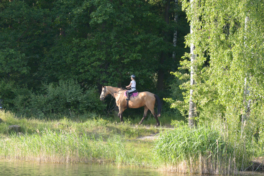 Nakło-Chechło. Dobre miejsce na wypoczynek nad wodą