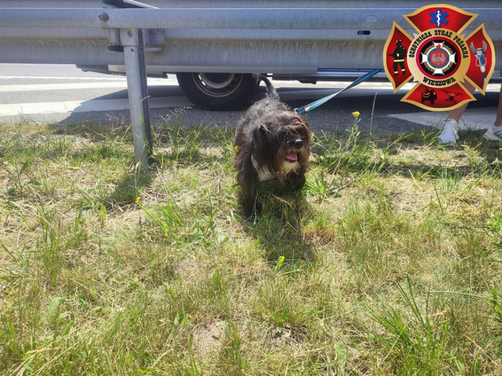 Pożar samochodu. Lądował śmigłowiec LPR