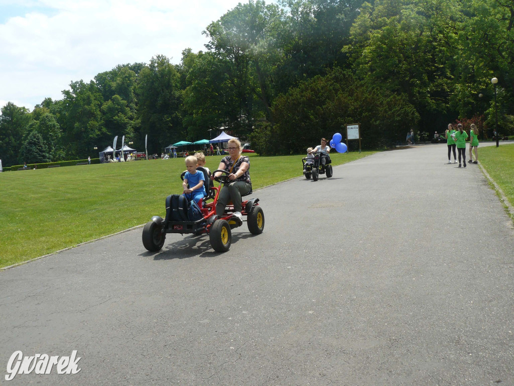 Zielony piknik w parku w Świerklańcu [FOTO]