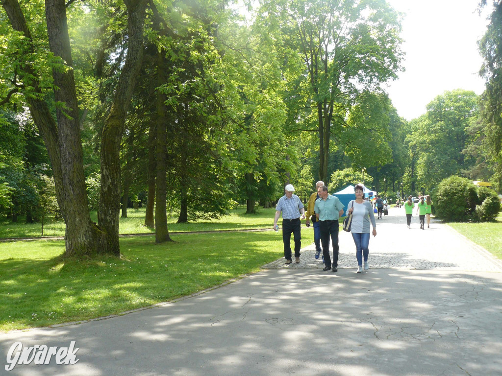 Zielony piknik w parku w Świerklańcu [FOTO]