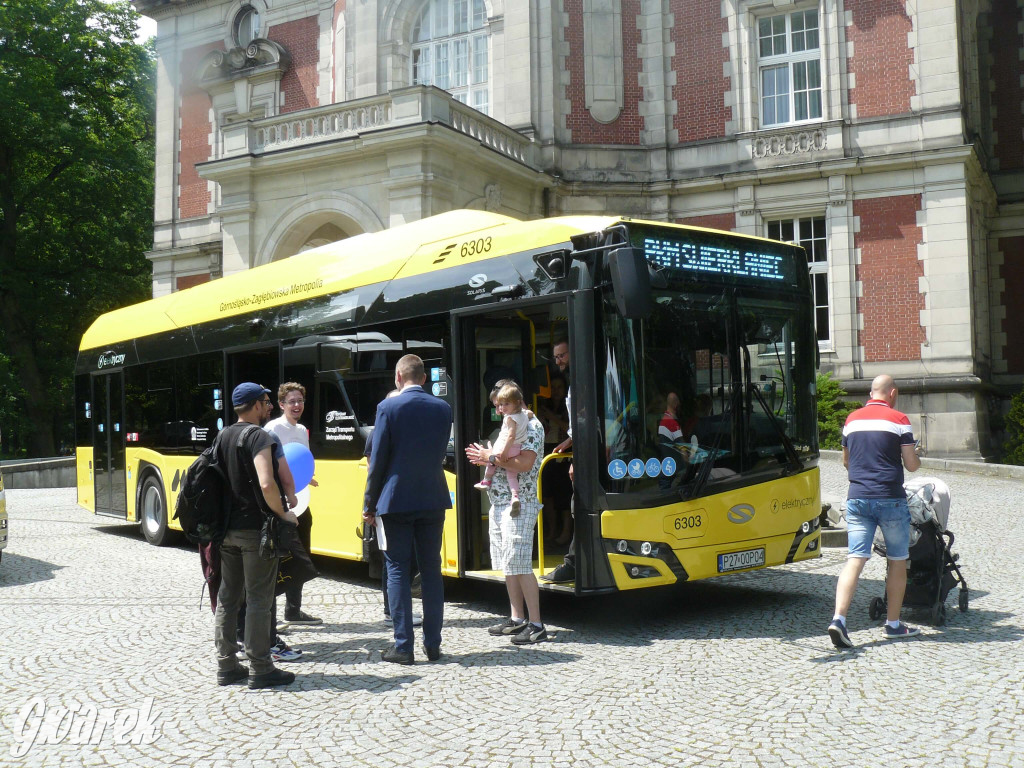 Zielony piknik w parku w Świerklańcu [FOTO]