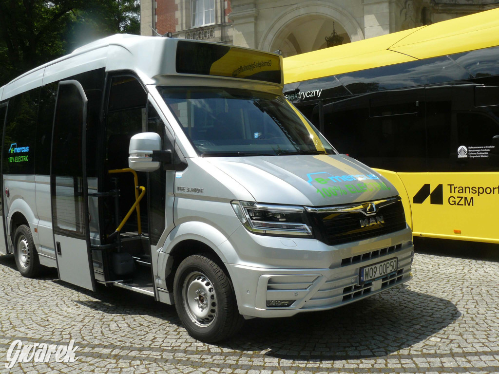 Zielony piknik w parku w Świerklańcu [FOTO]