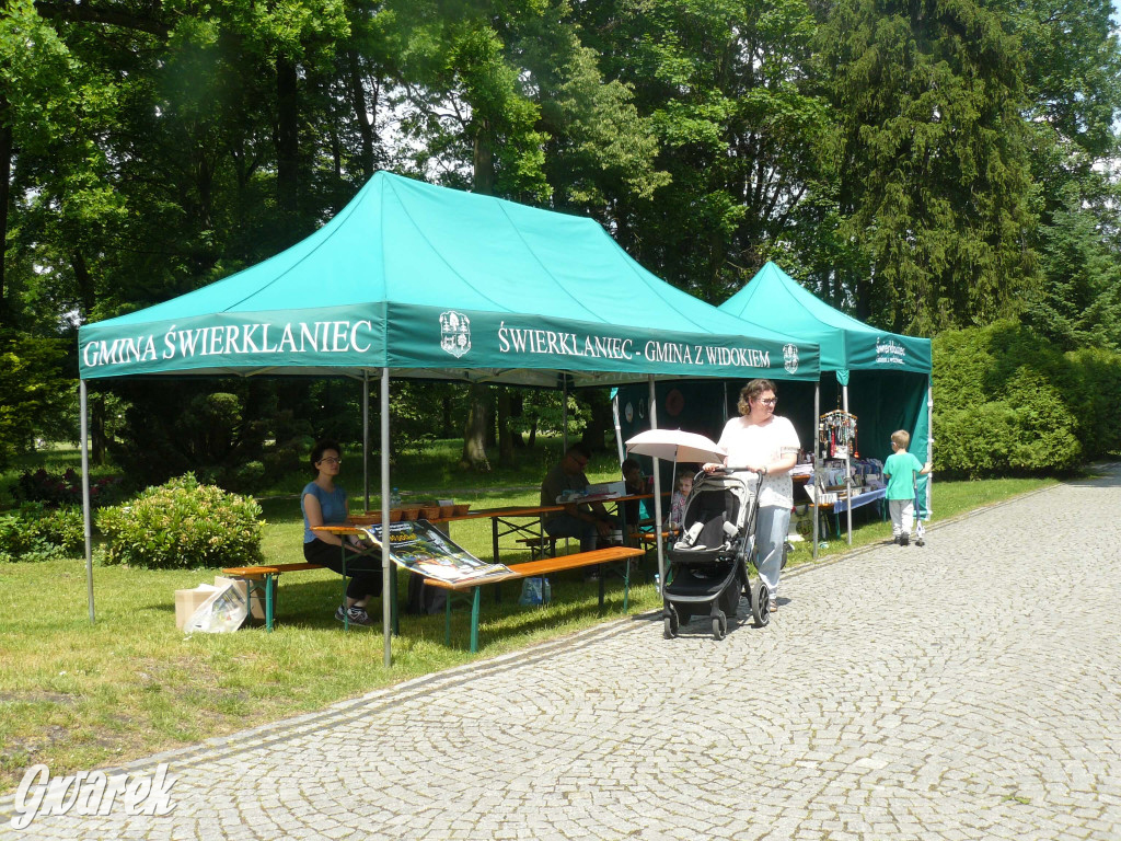 Zielony piknik w parku w Świerklańcu [FOTO]