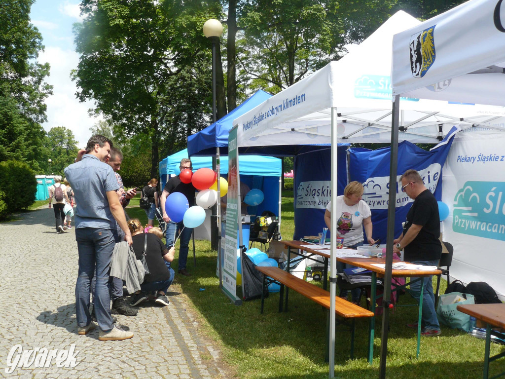 Zielony piknik w parku w Świerklańcu [FOTO]