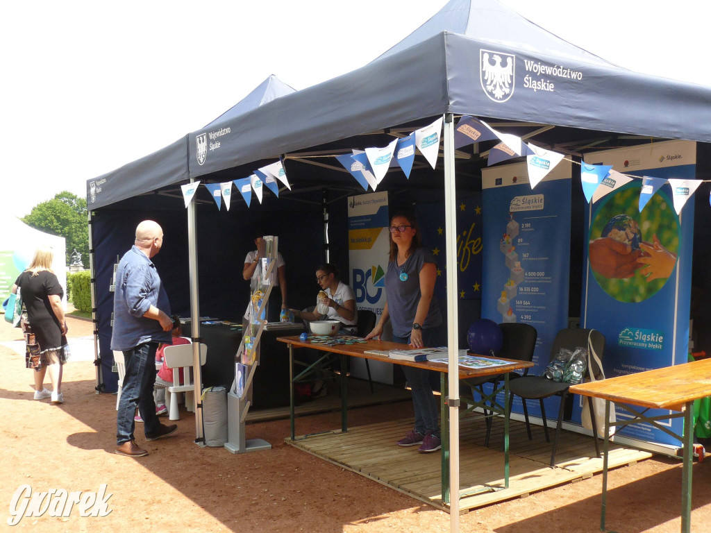 Zielony piknik w parku w Świerklańcu [FOTO]
