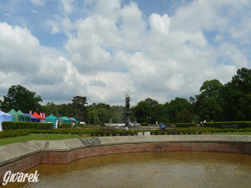 Zielony piknik w parku w Świerklańcu [FOTO]