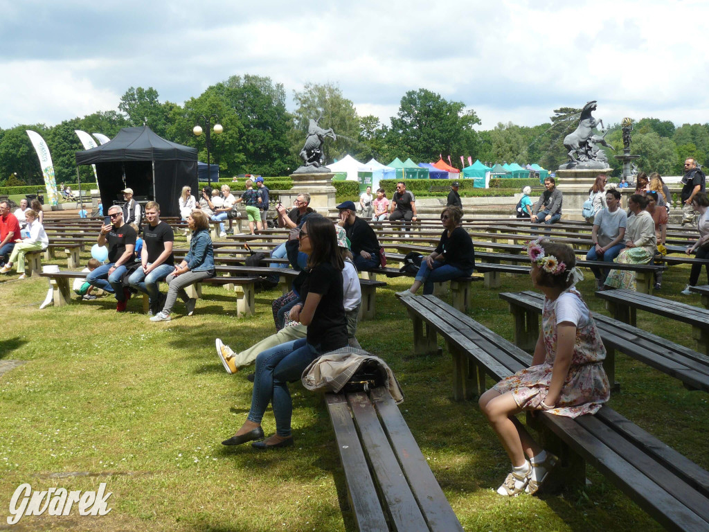 Zielony piknik w parku w Świerklańcu [FOTO]