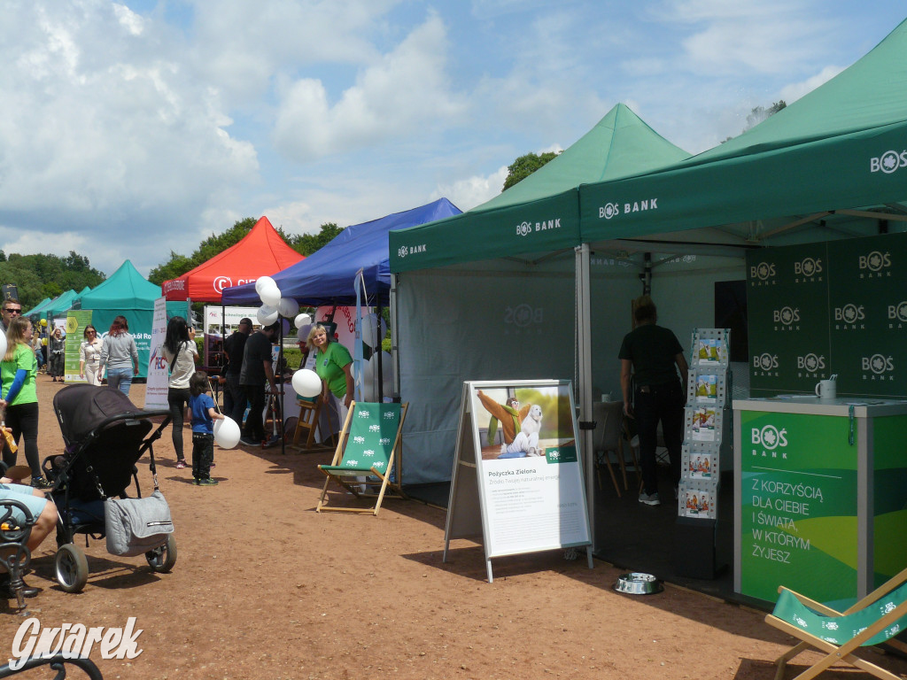 Zielony piknik w parku w Świerklańcu [FOTO]