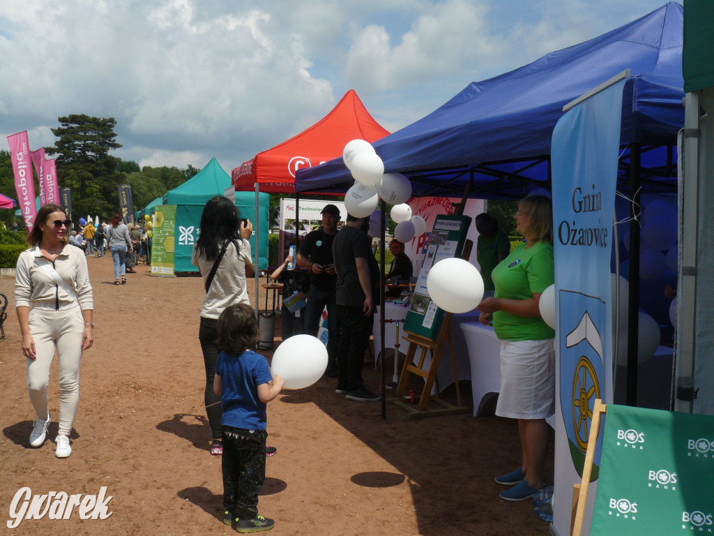 Zielony piknik w parku w Świerklańcu [FOTO]