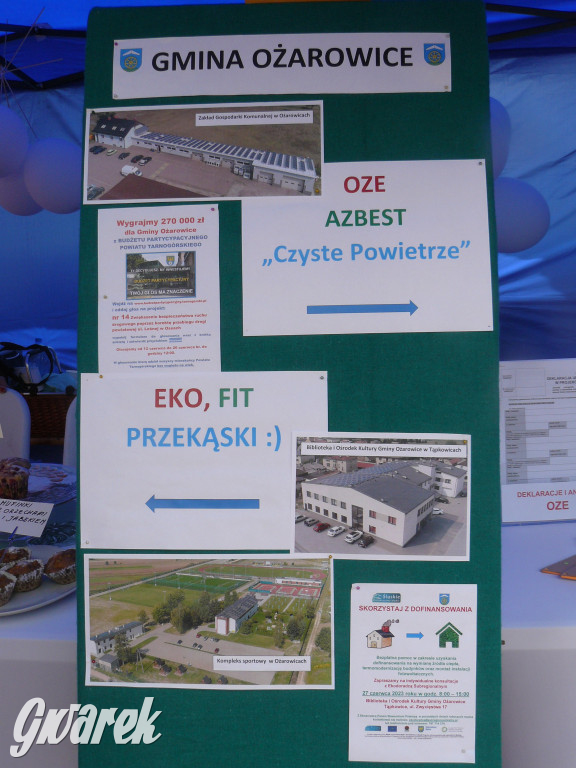 Zielony piknik w parku w Świerklańcu [FOTO]