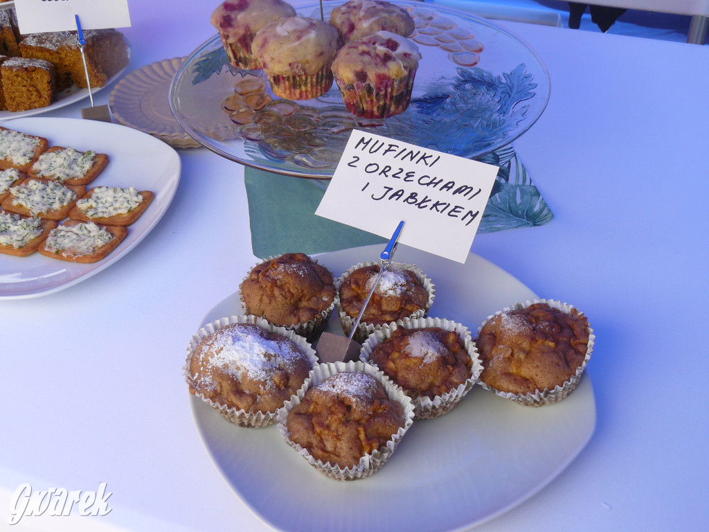 Zielony piknik w parku w Świerklańcu [FOTO]