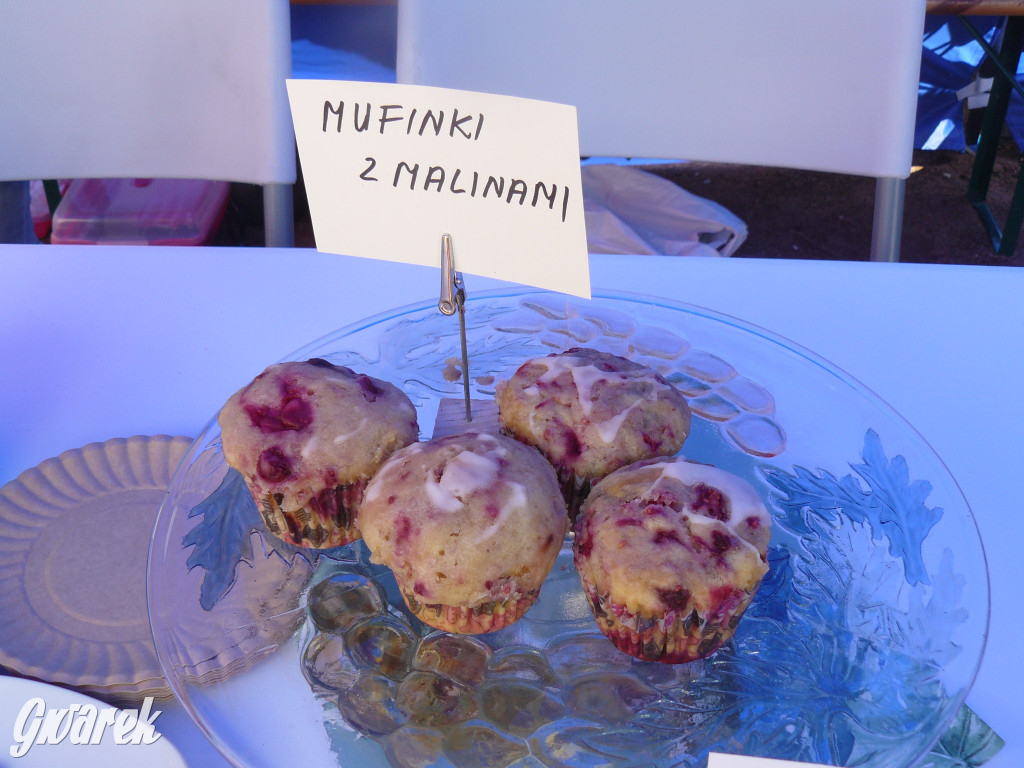 Zielony piknik w parku w Świerklańcu [FOTO]