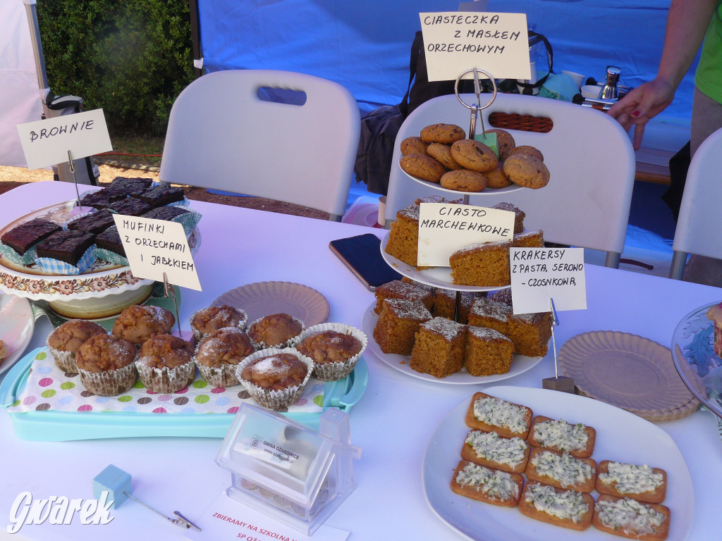 Zielony piknik w parku w Świerklańcu [FOTO]