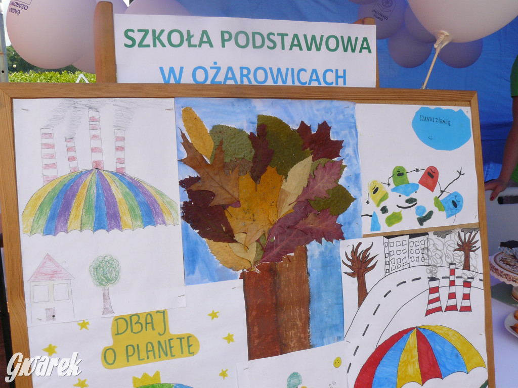 Zielony piknik w parku w Świerklańcu [FOTO]