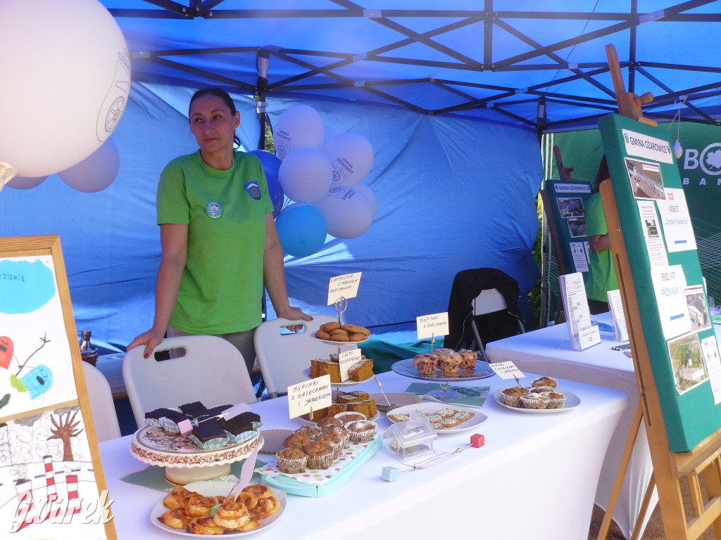 Zielony piknik w parku w Świerklańcu [FOTO]