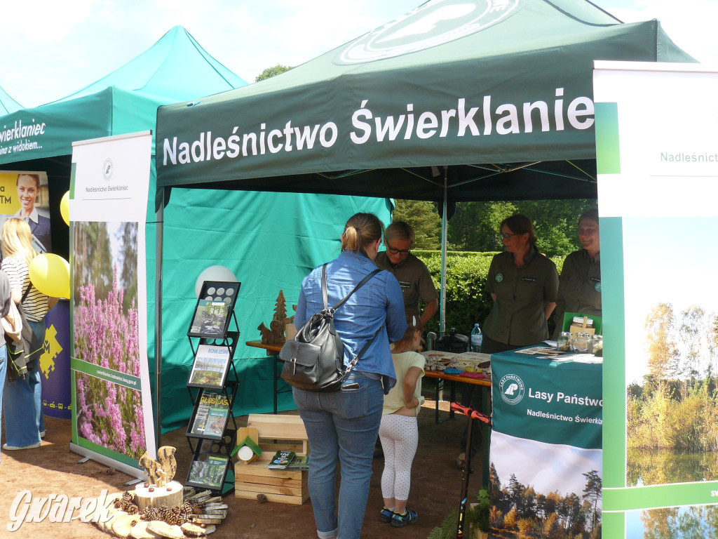 Zielony piknik w parku w Świerklańcu [FOTO]