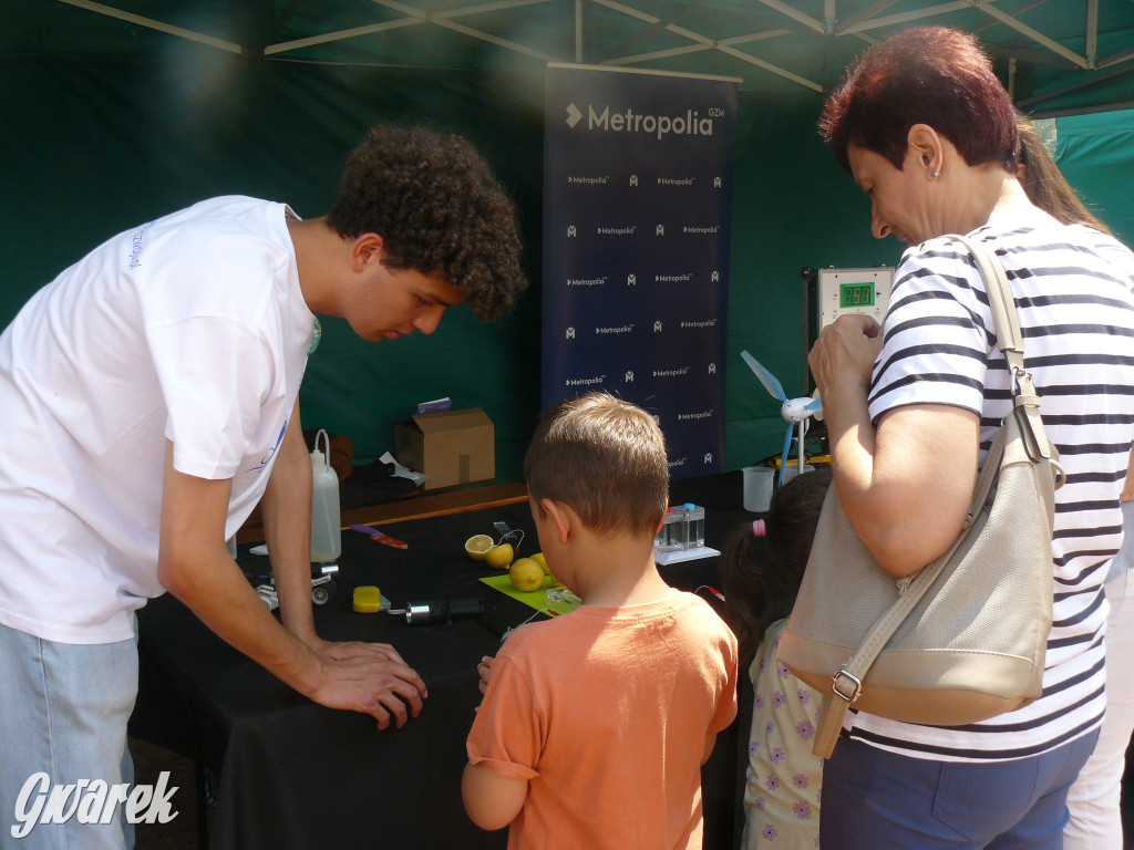 Zielony piknik w parku w Świerklańcu [FOTO]
