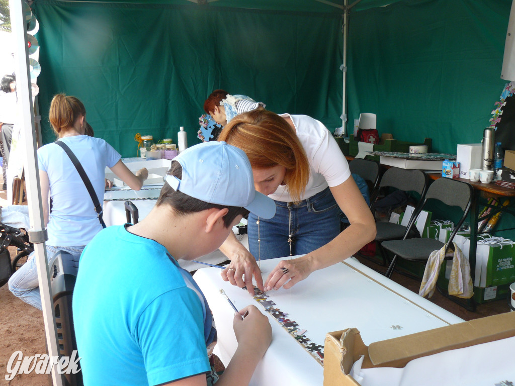 Zielony piknik w parku w Świerklańcu [FOTO]
