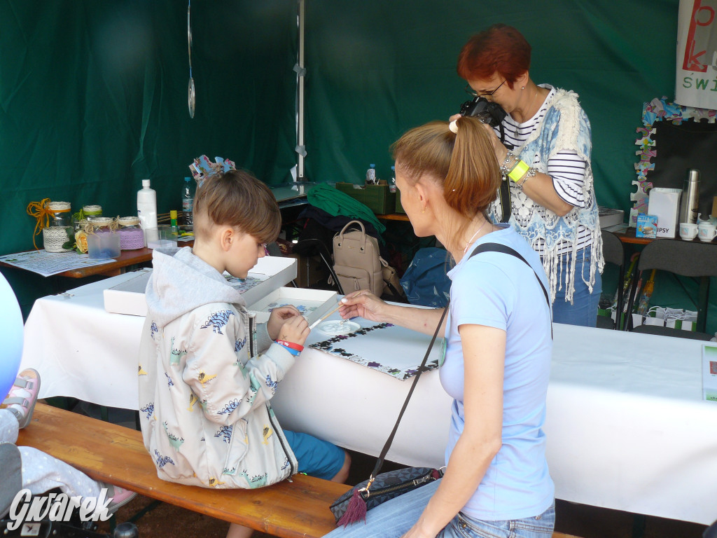 Zielony piknik w parku w Świerklańcu [FOTO]