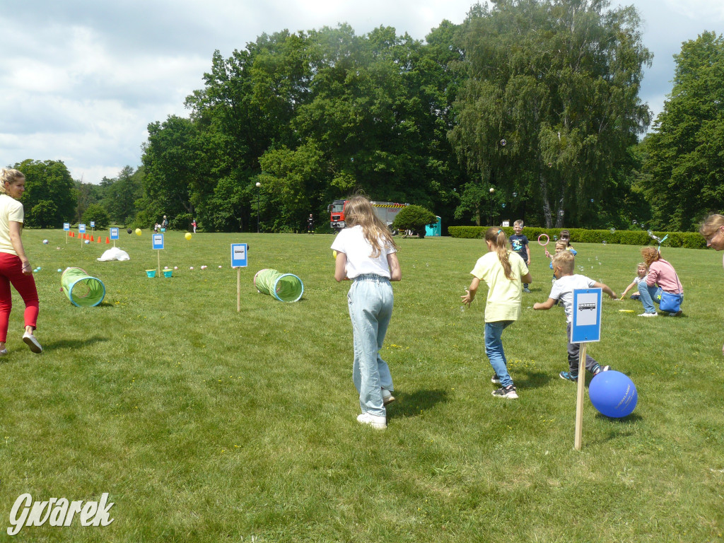 Zielony piknik w parku w Świerklańcu [FOTO]