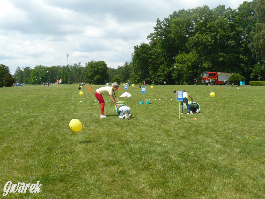 Zielony piknik w parku w Świerklańcu [FOTO]
